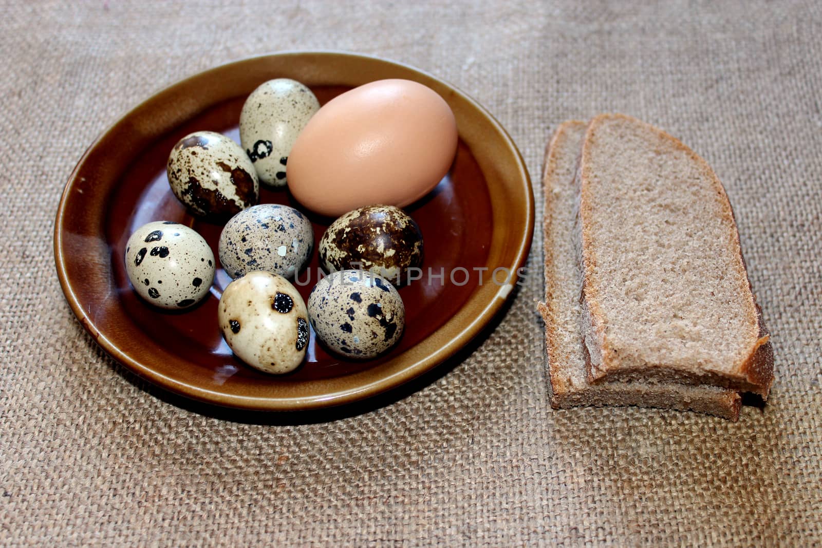 eggs of the quail and hen with pieces of bread by alexmak
