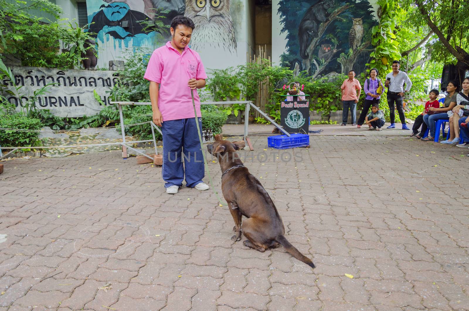 BANGKOK - AUGUST 2 2014, Dusit Sound Dog Show in Dusit Zoo or Ka by siiixth