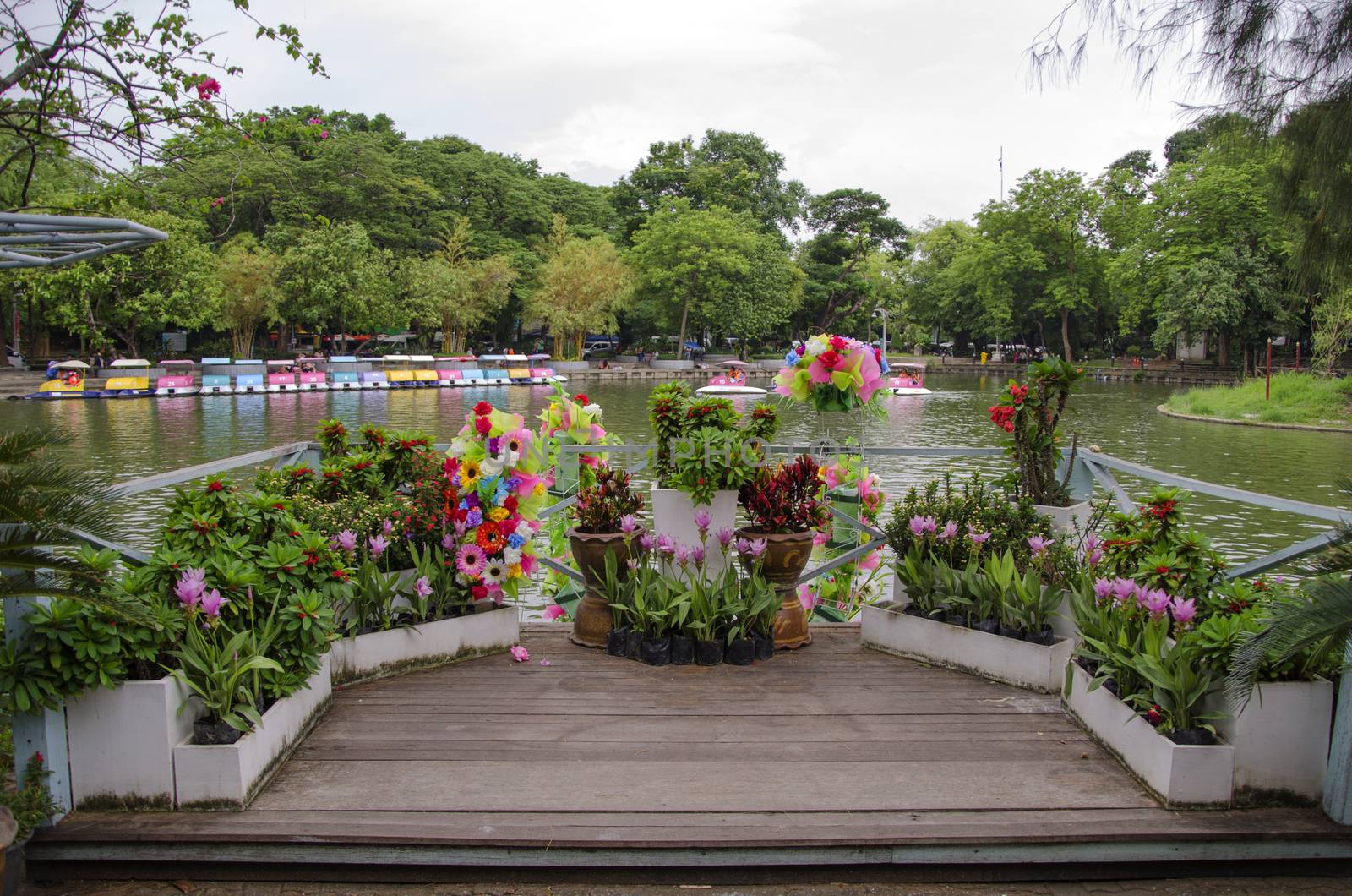 BANGKOK - AUGUST 2 2014, lake in dusit zoo,dusit zoo (is a city  by siiixth