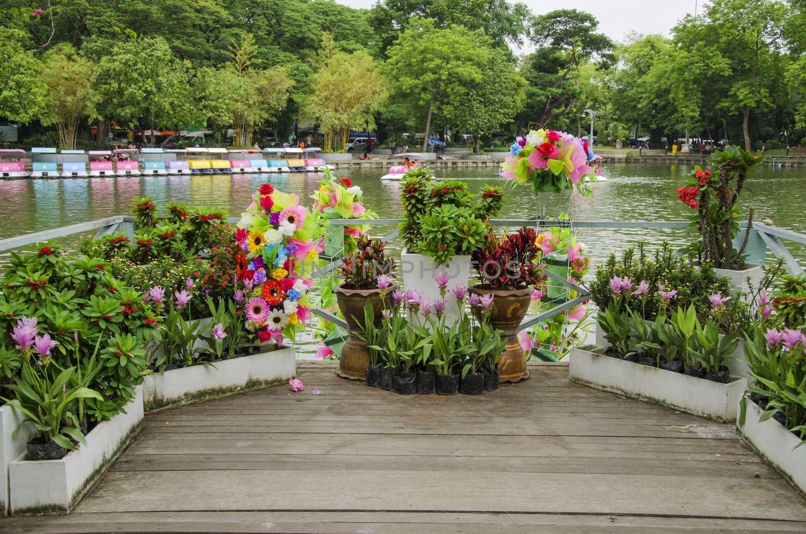 BANGKOK - AUGUST 2 2014, lake in dusit zoo,dusit zoo (is a city zoo in Bangkok, Thailand. Located at Dusit District next to the Parliament House and Dusit Palace. AUGUST 2 2014 - BANGKOK THAILAND