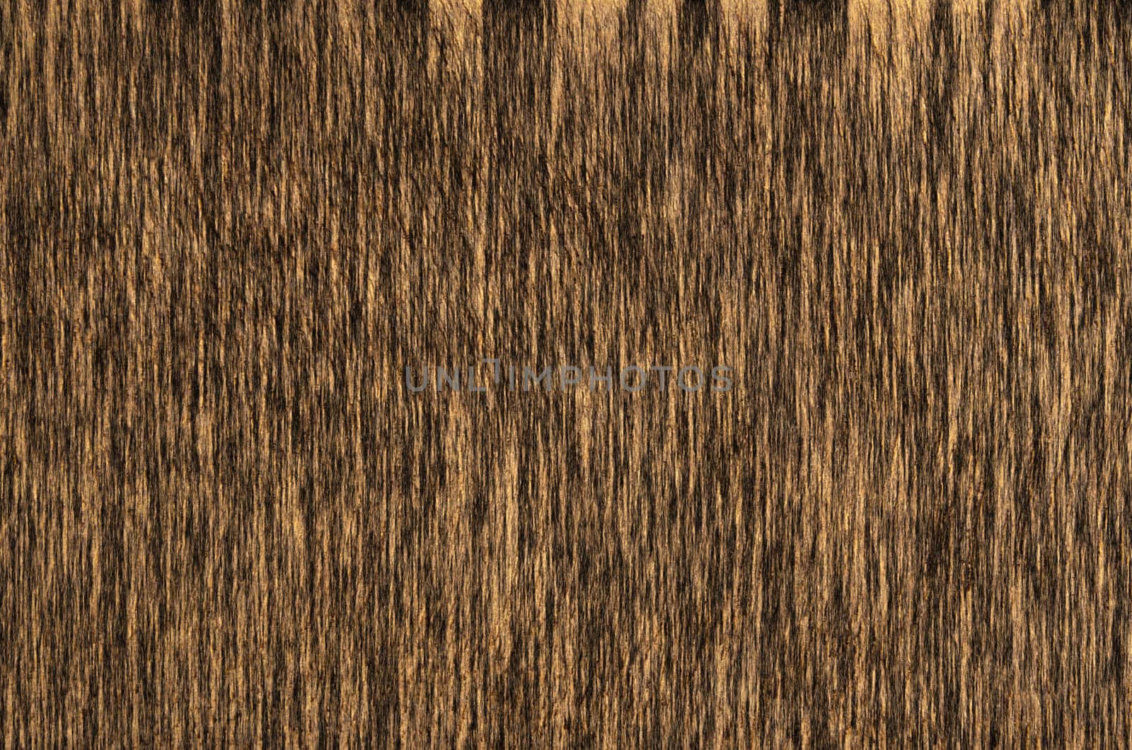 a illustrated wood texture