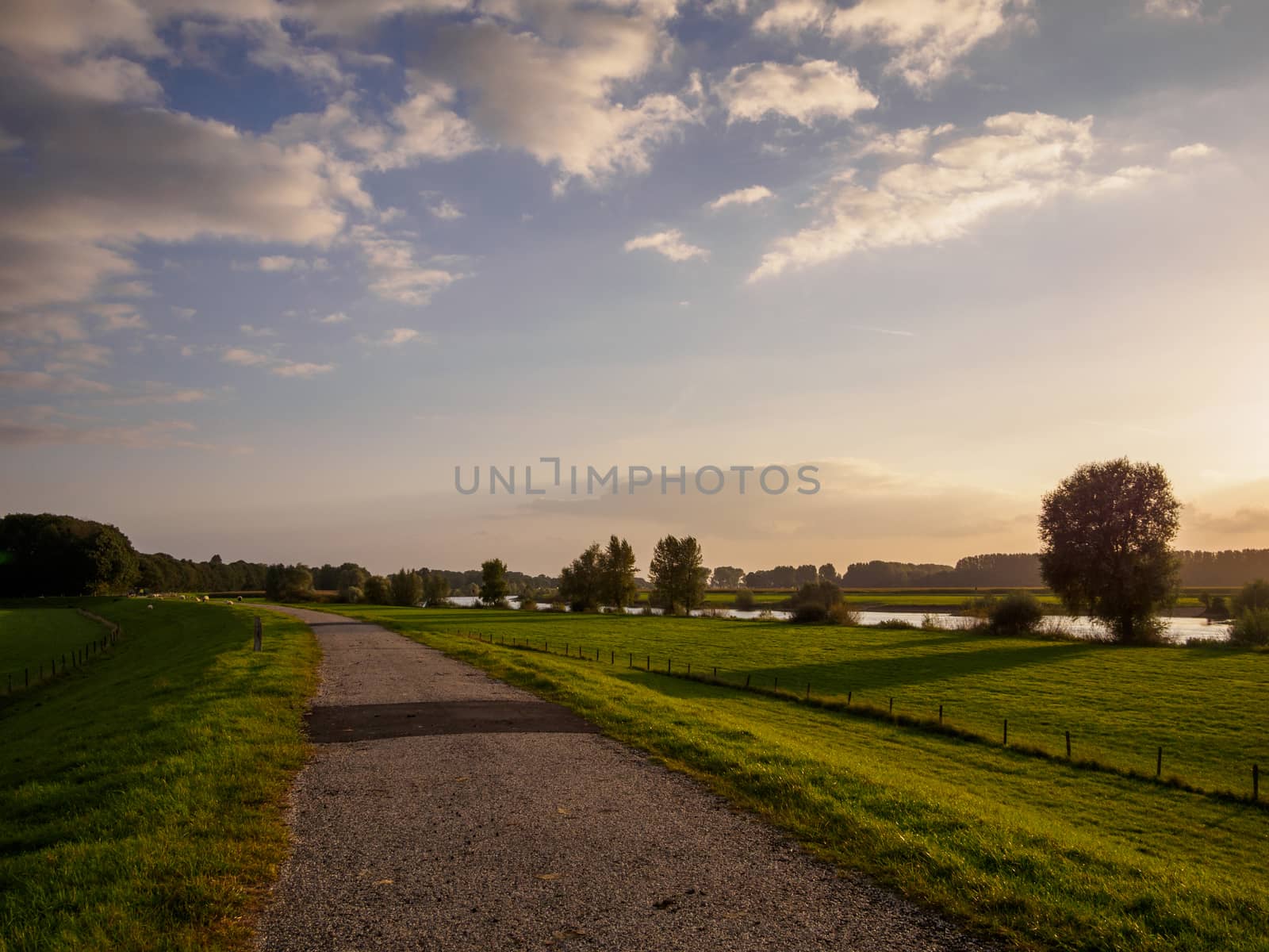 Path along the river Ijssel in Holland be sunset light