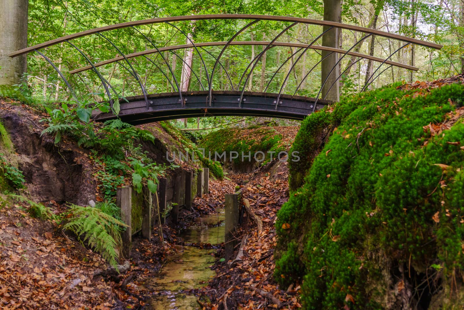 small metal bridge in woods by frankhoekzema