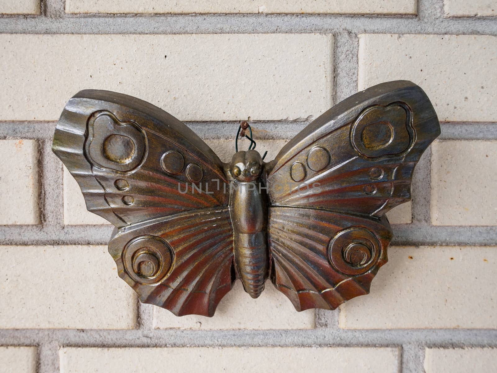 Bronze butterfly on wall by frankhoekzema