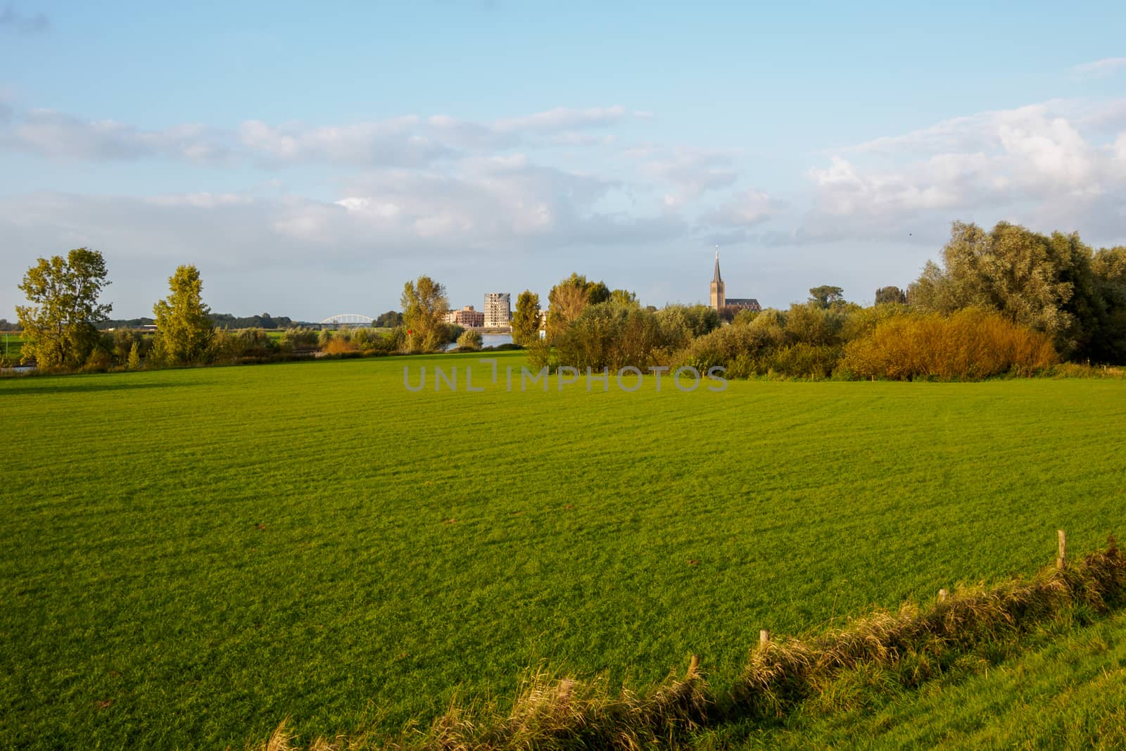 Overlooking fields and a river with a view of Doesburg