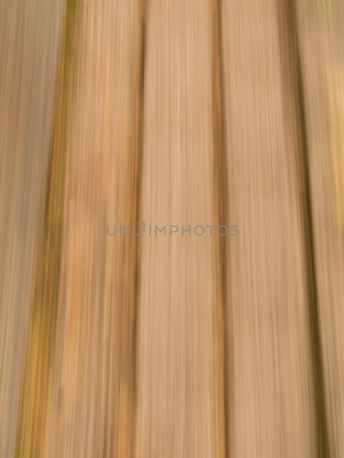 Vertical of lines produced by camera motion blur