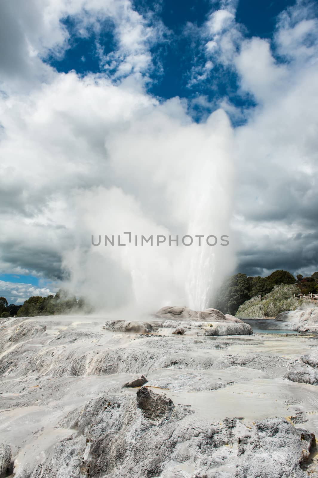 Pohutu and Prince of Wales geysers  by fyletto