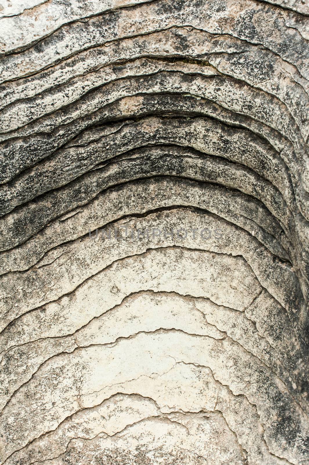 Detail of pancake rock in Punakaiki, Paparoa national park, New Zealand