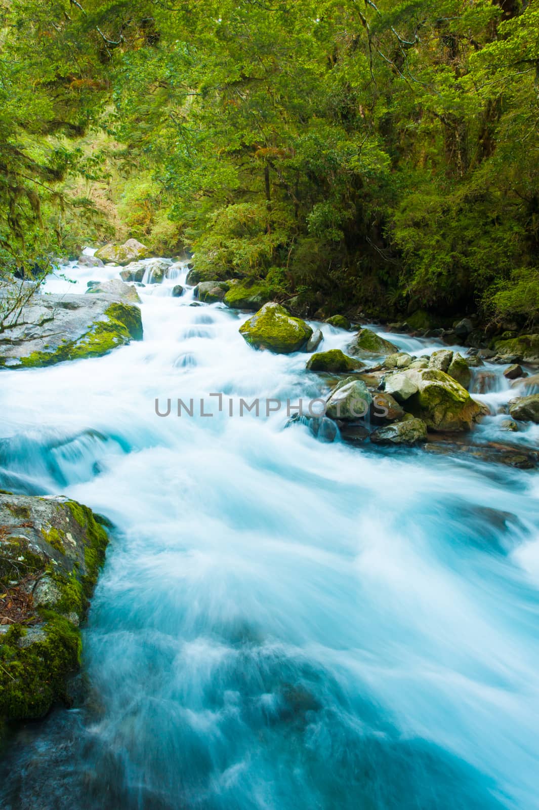 Beautiful Marian Creek feeds from the Lake Marian. The creek is located in a beautiful wild forests of Fiordland National Park, South island of New Zealand. long exposure