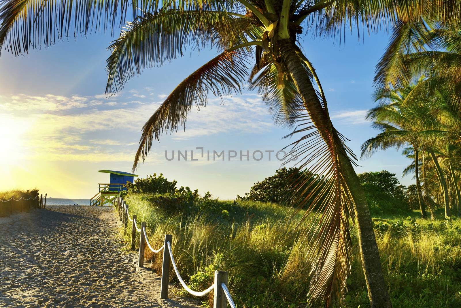 Lifeguard Tower, Miami Beach, Florida by ventdusud