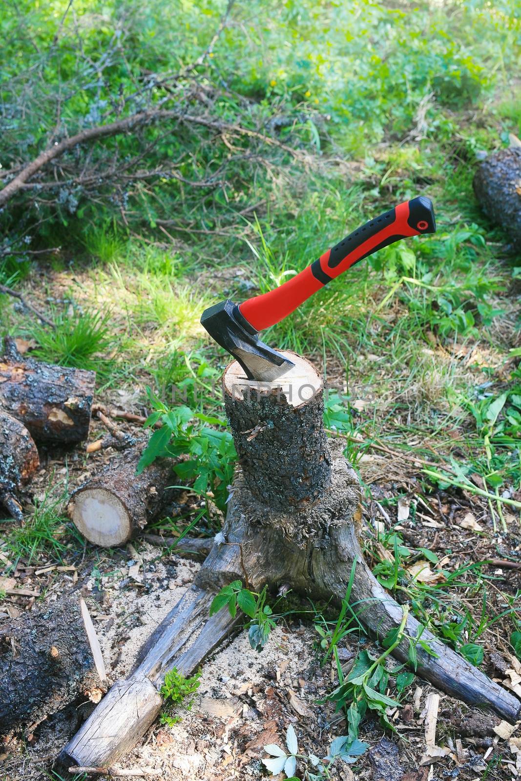 Axe with red handle cutting fire wood on stub