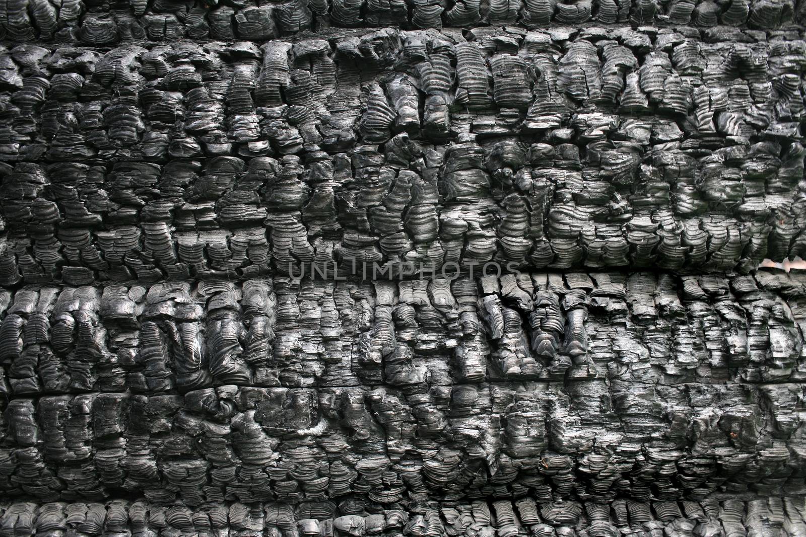 black charred logs of wooden wall