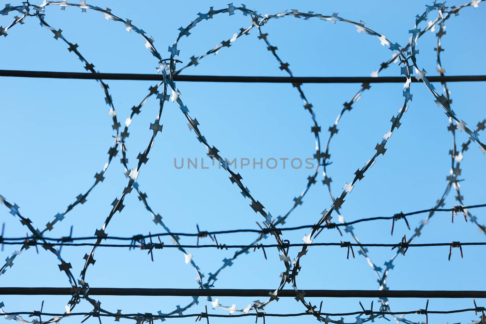 Metal barbed wire by yurii_bizgaimer