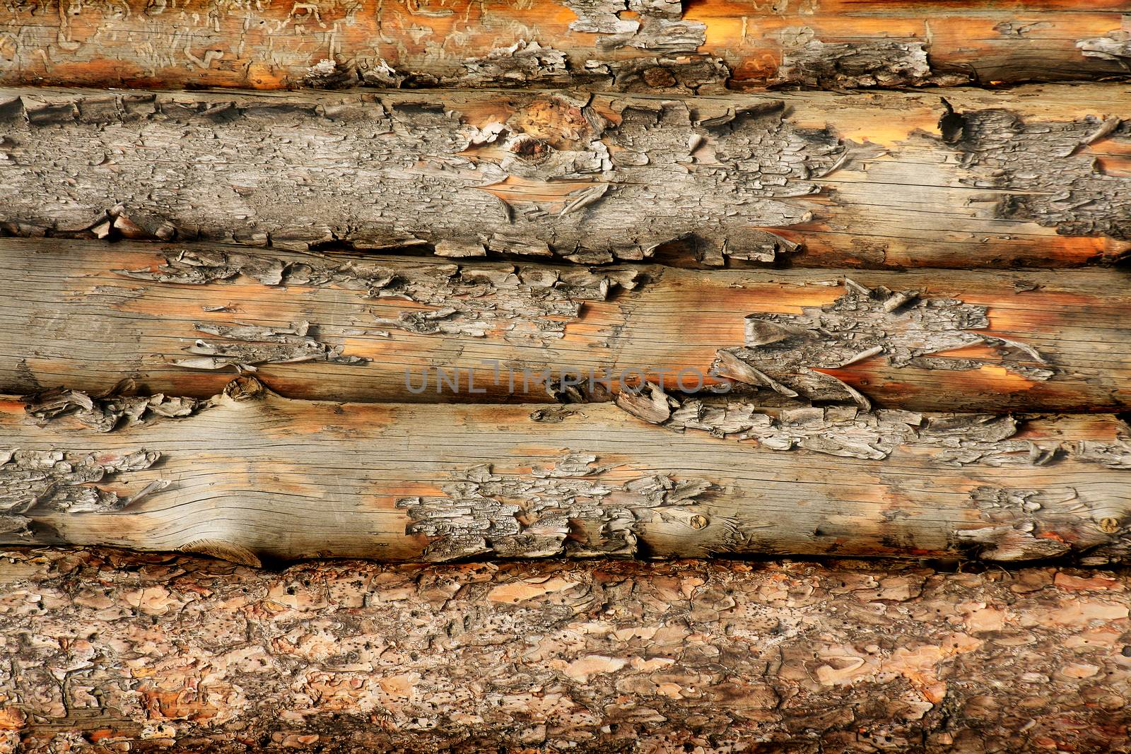 Old wooden fence by yurii_bizgaimer