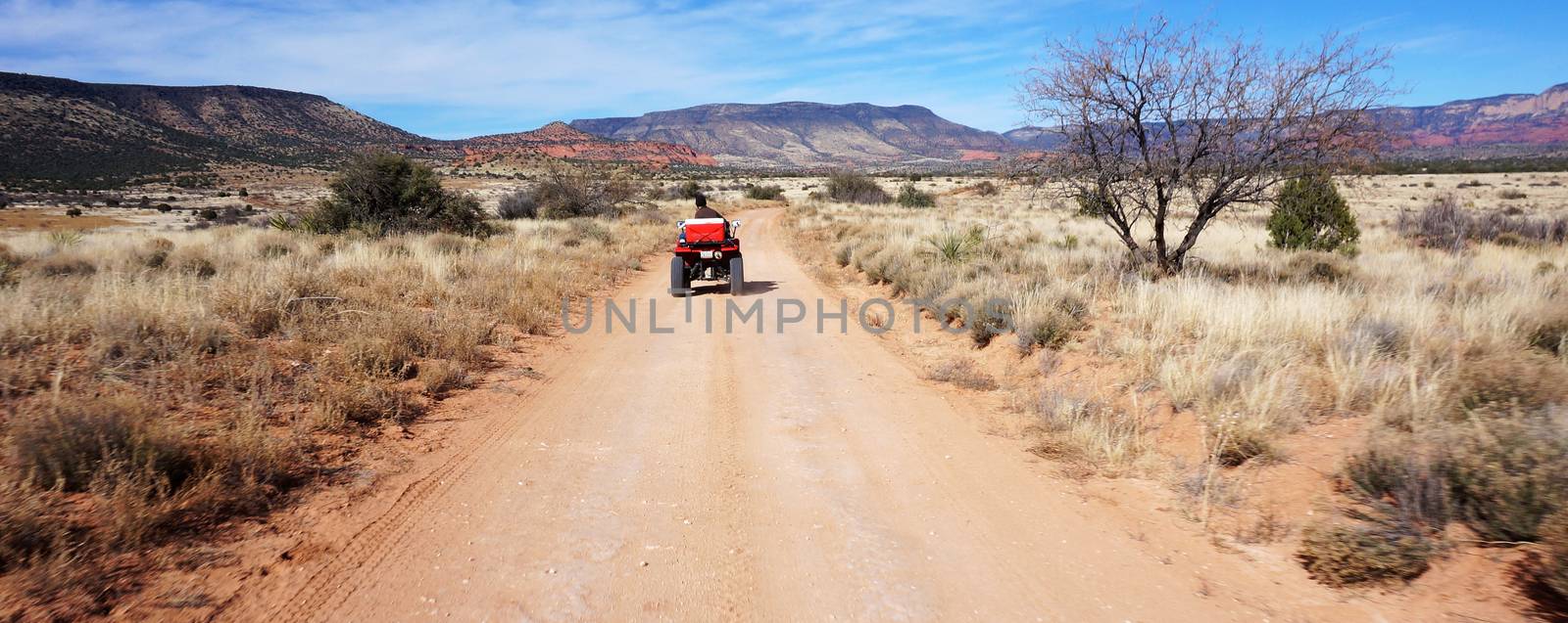 Desert Ridesin Sedona, Arizona by tang90246