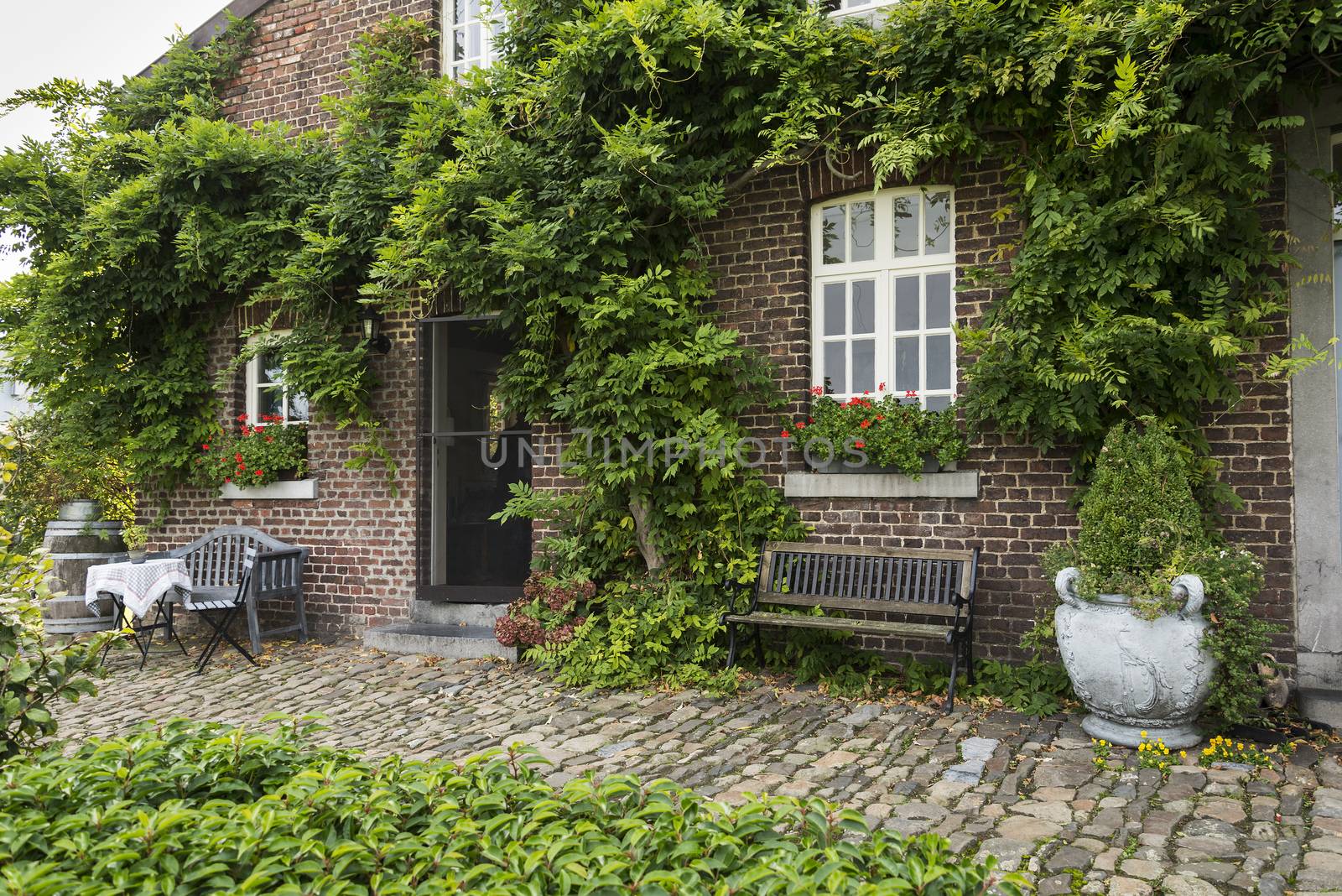 old farm with green plants on the wall and seat and table on the old rocks in the garden