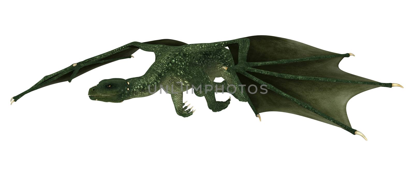 3D digital render of a flying green fantasy dragon isolated on white background