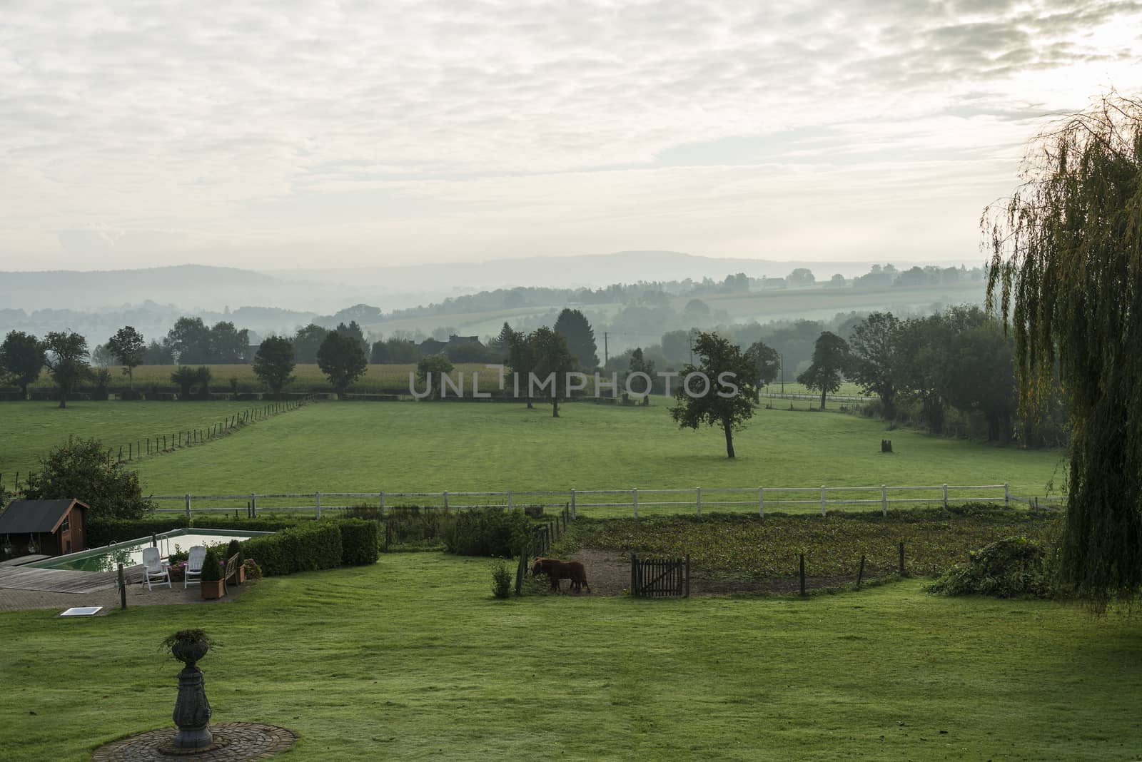 garden with swimming pool horses and hills with mist in the morning