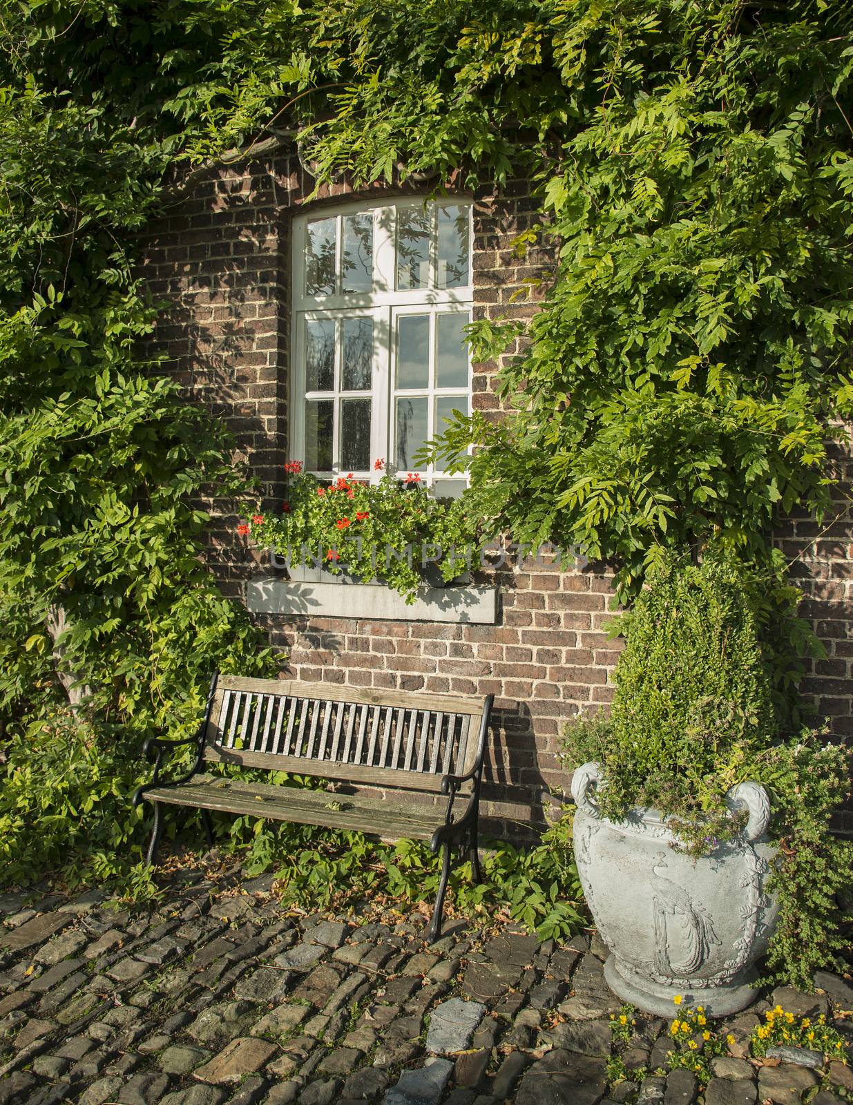old farm with green plants on the wall and seat on the old rocks in the garden