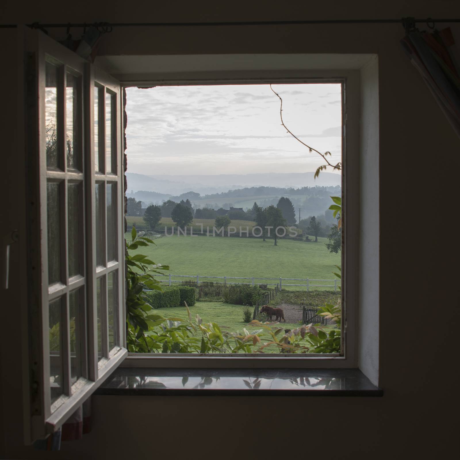see through window with garden horses and hills