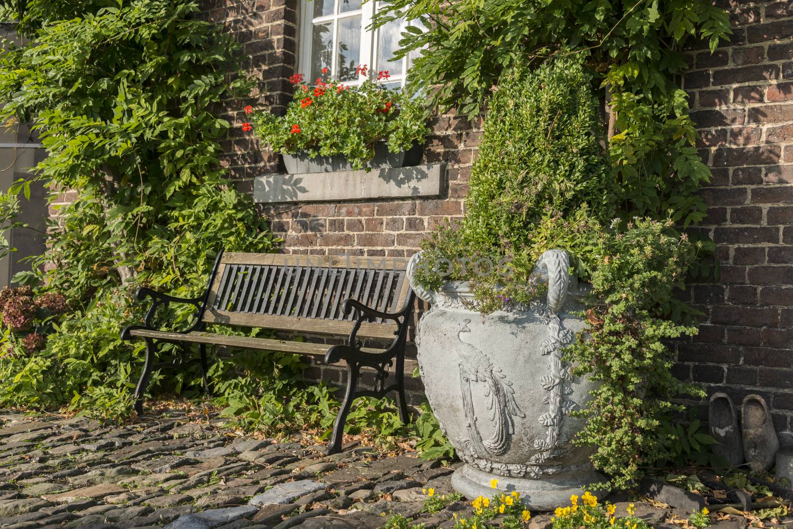 old farm with green plants on the wall and seat and vase with plants on the old rocks in the garden