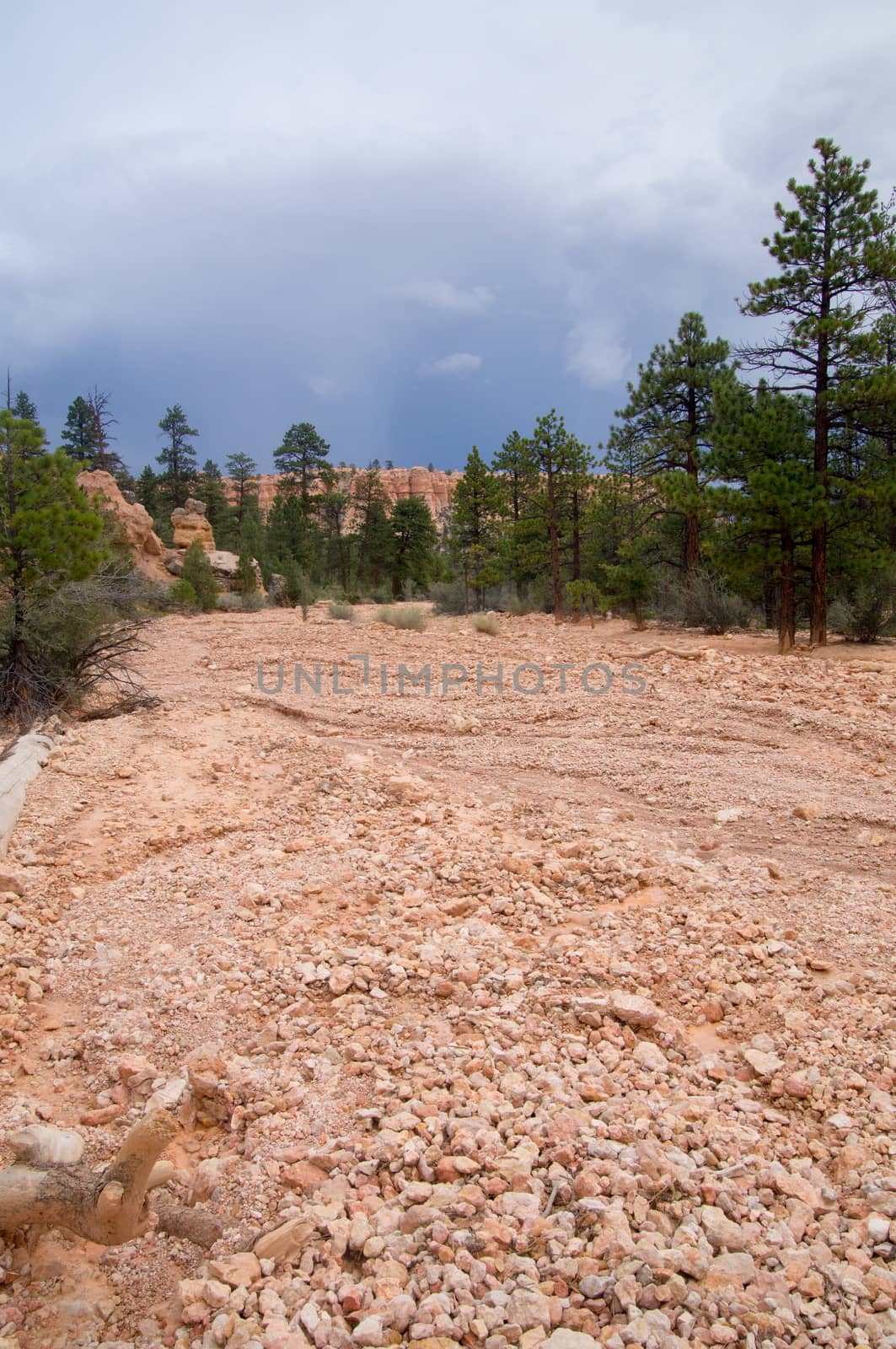 Dry riverbed in canyon of Bryce Canyon in a storm by emattil