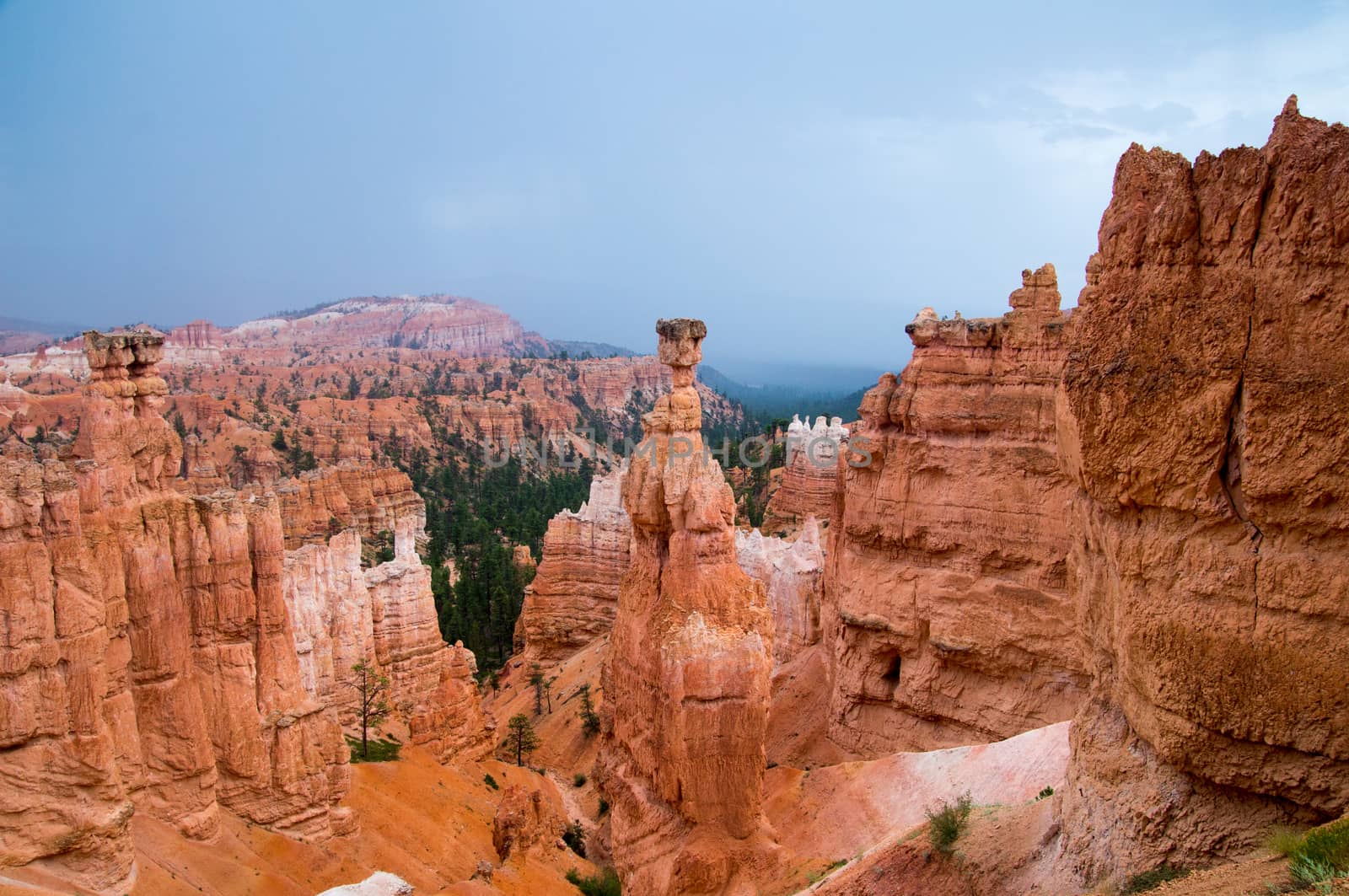 Hoodoos of Bryce Canyon in the rain by emattil
