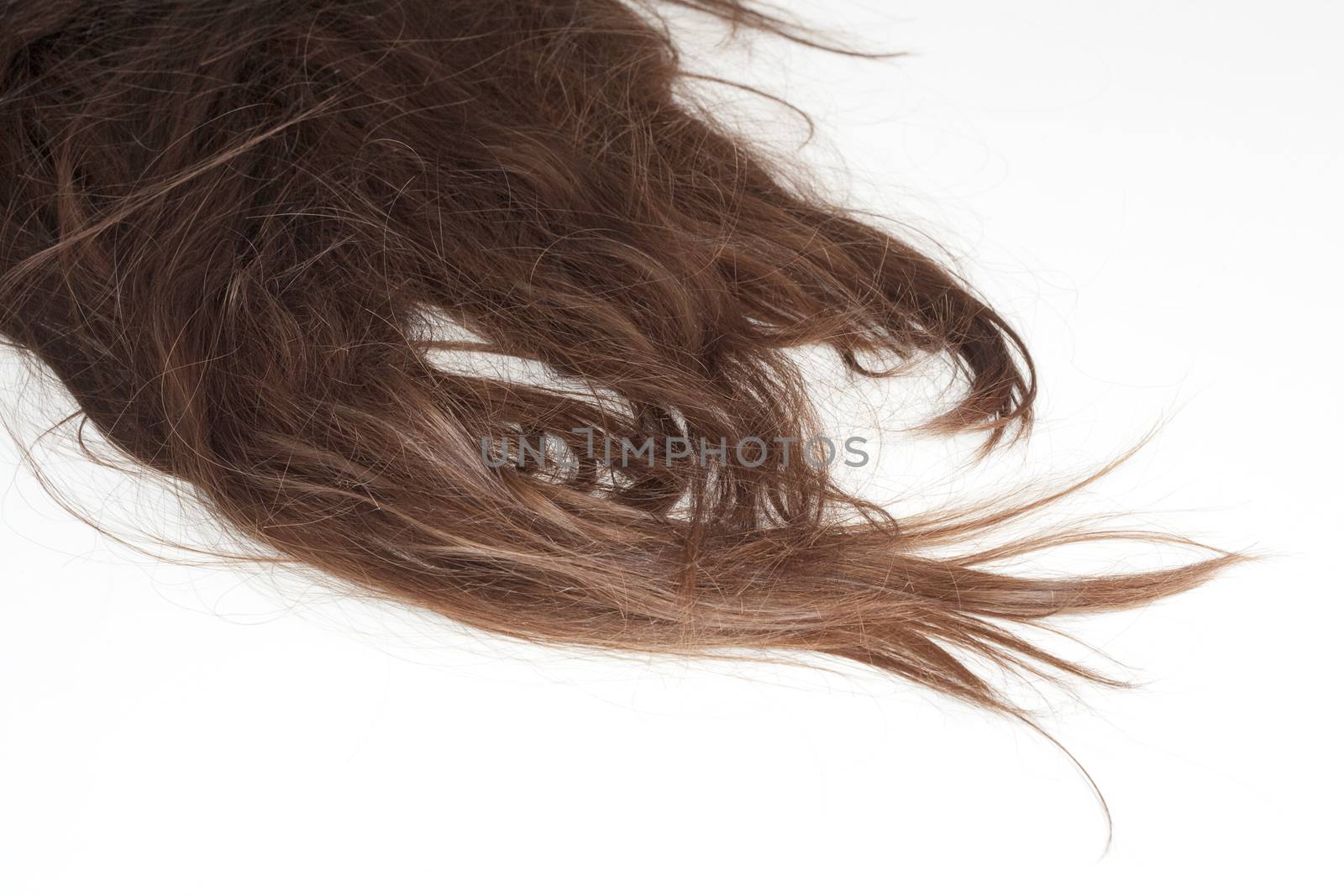 detail of beautiful long brown hair - isolated on white