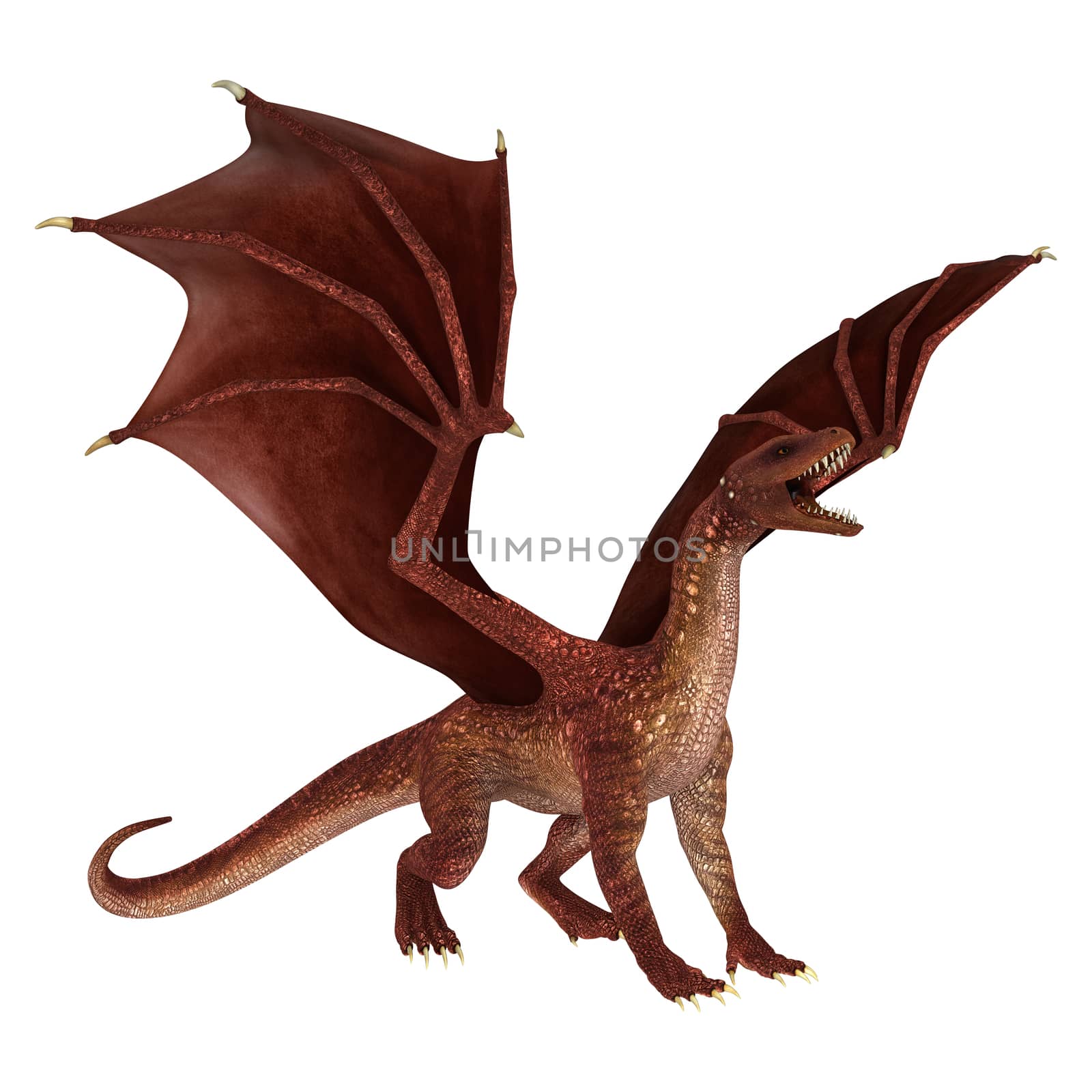 3D digital render of a roaring red fantasy dragon isolated on white background