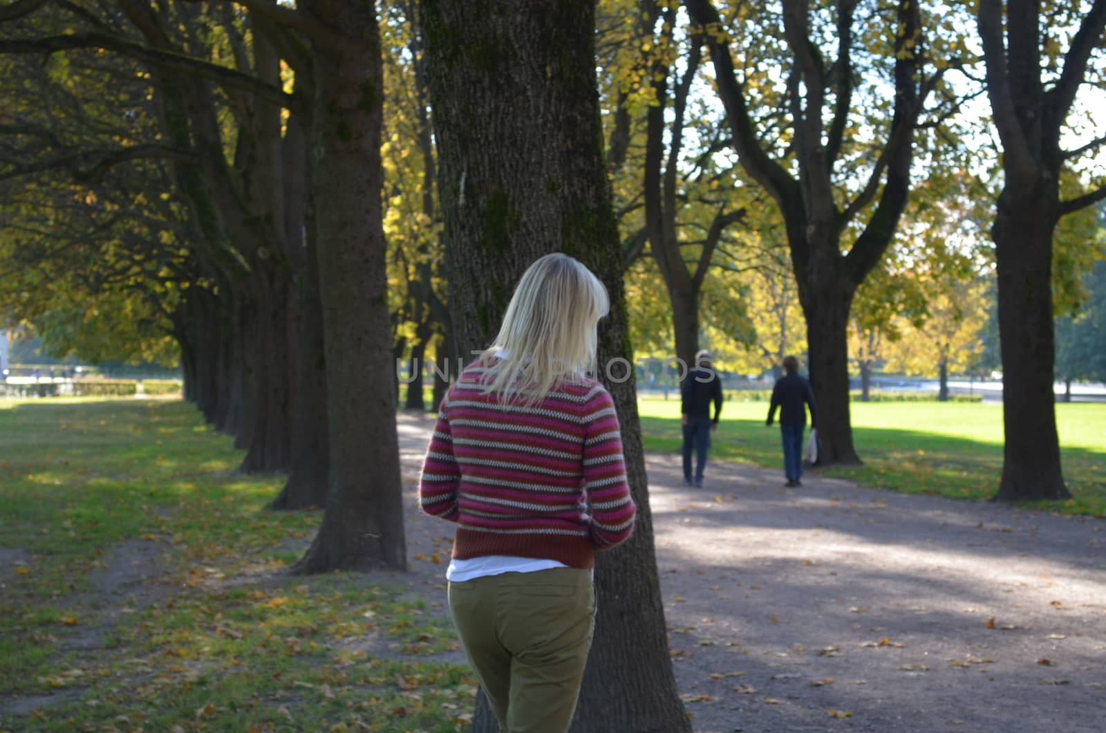 Oktober colors in the Frogner Park in Oslo, Norway