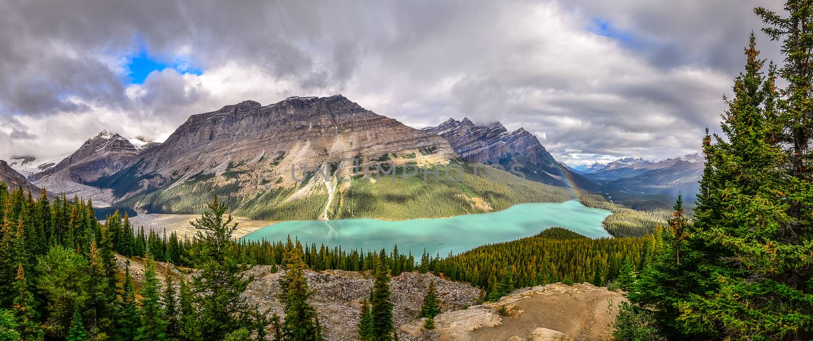 Panoramic view of Peyto lake and Rocky mountains, Canada by martinm303