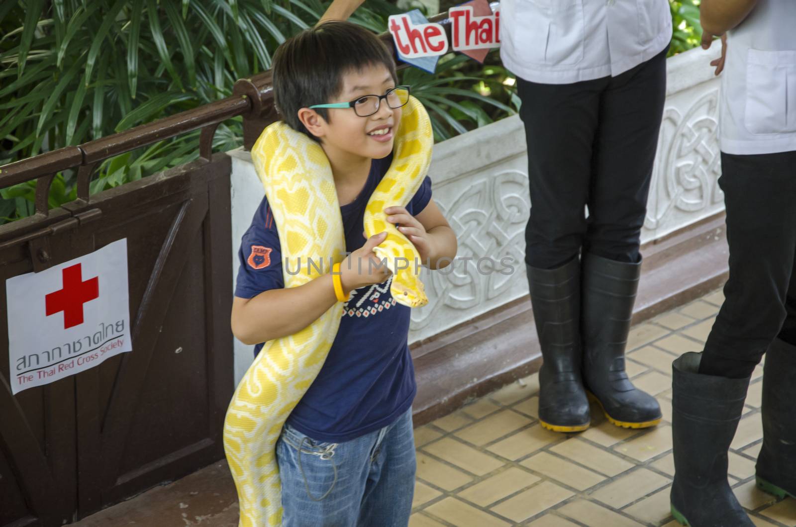 snake show at thai red cross snake farm bangkok thailand on 6 April 2014 by siiixth