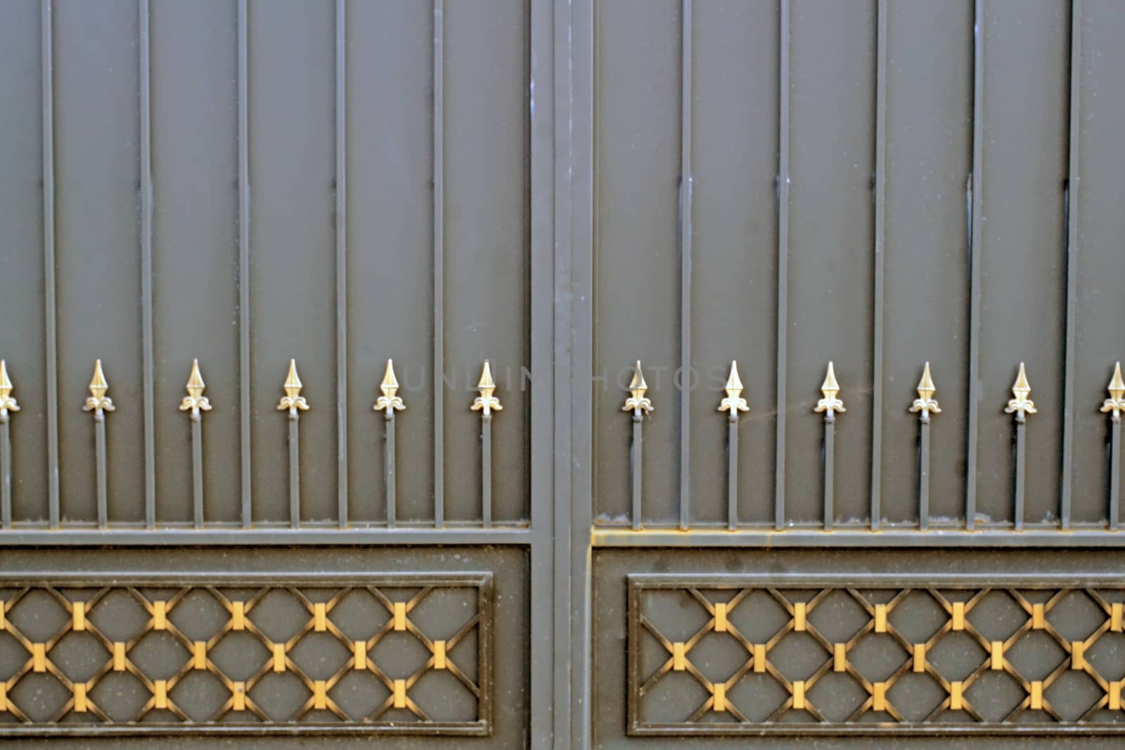  Forged metal gate as a backdrop              