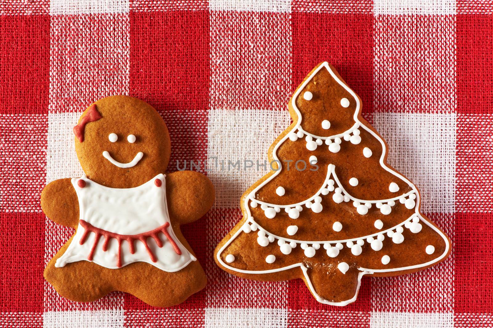 Christmas homemade gingerbread girl cookie by haveseen