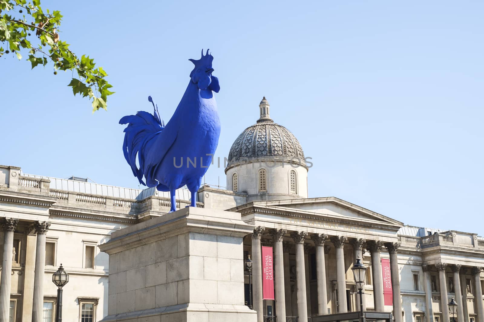 LONDON, UK - MAY 31: Katharina Fritsch's Hahn/Cock artwork in the fourth plinth of Trafalgar Square. The piece was unveiled in July 2013, and will remain for 18 months. May 31, 2014 in London.