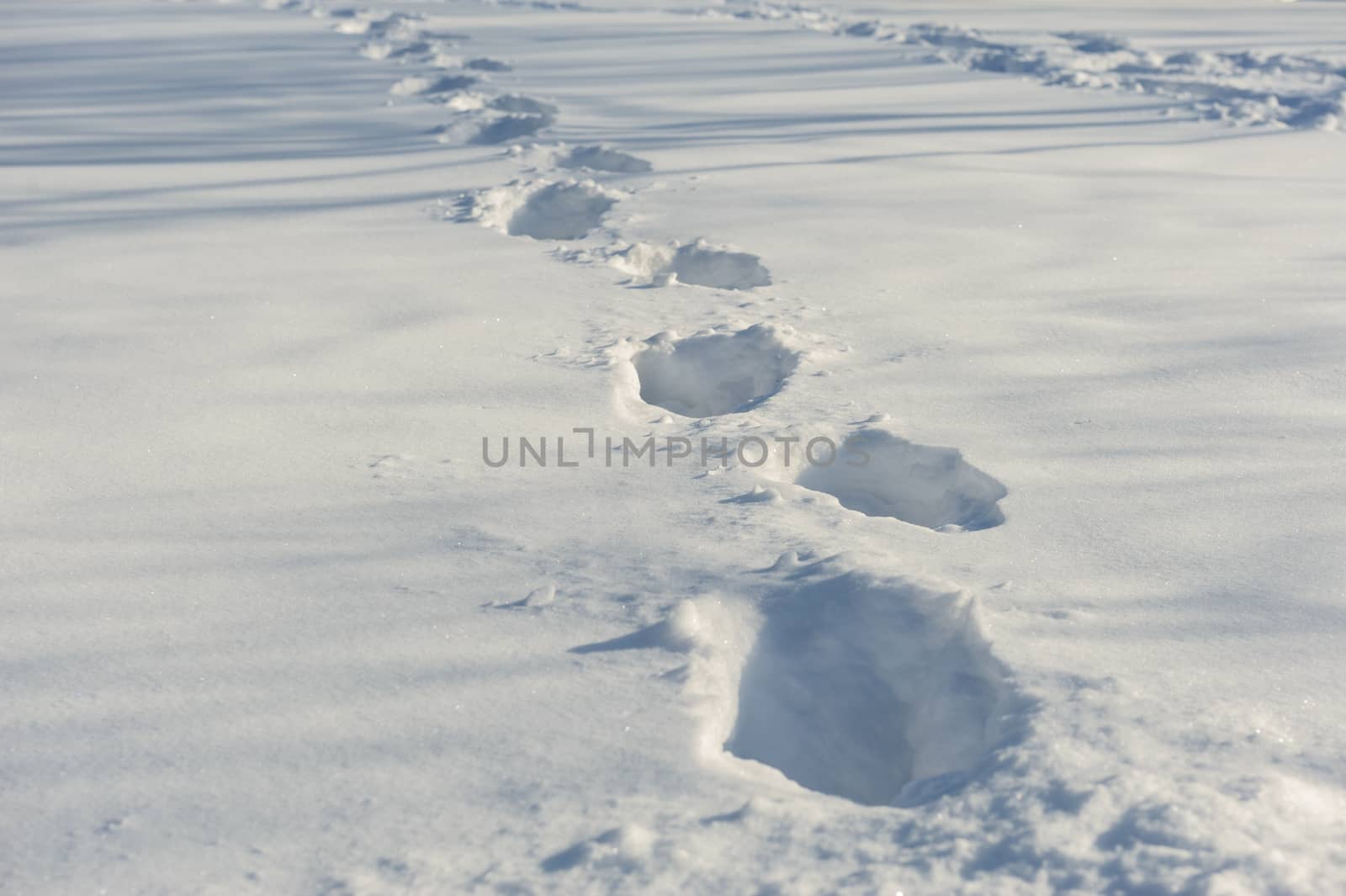 human tracks on the fresh white snow