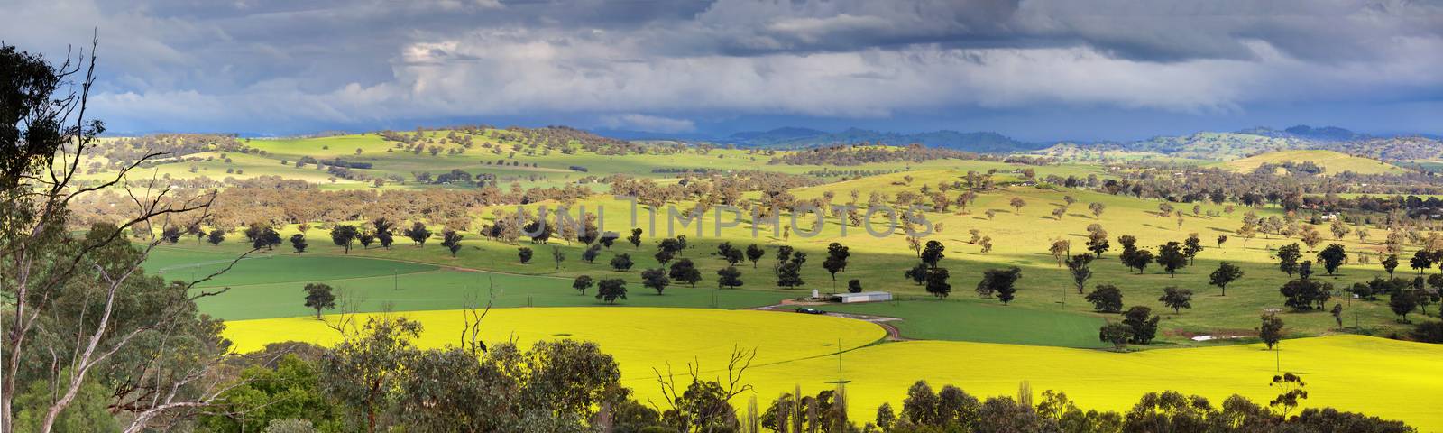 Looking down over fields of canola, wheat  and grazing pastures with menacing storm clouds looming overhead and offering large downpours of heavy rain intermittently.  NSW,Australia  Shot at 1250 iso.
