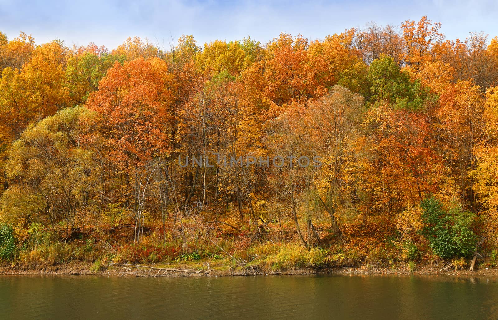 аutumn forest on the bank of the river and its reflection in the water