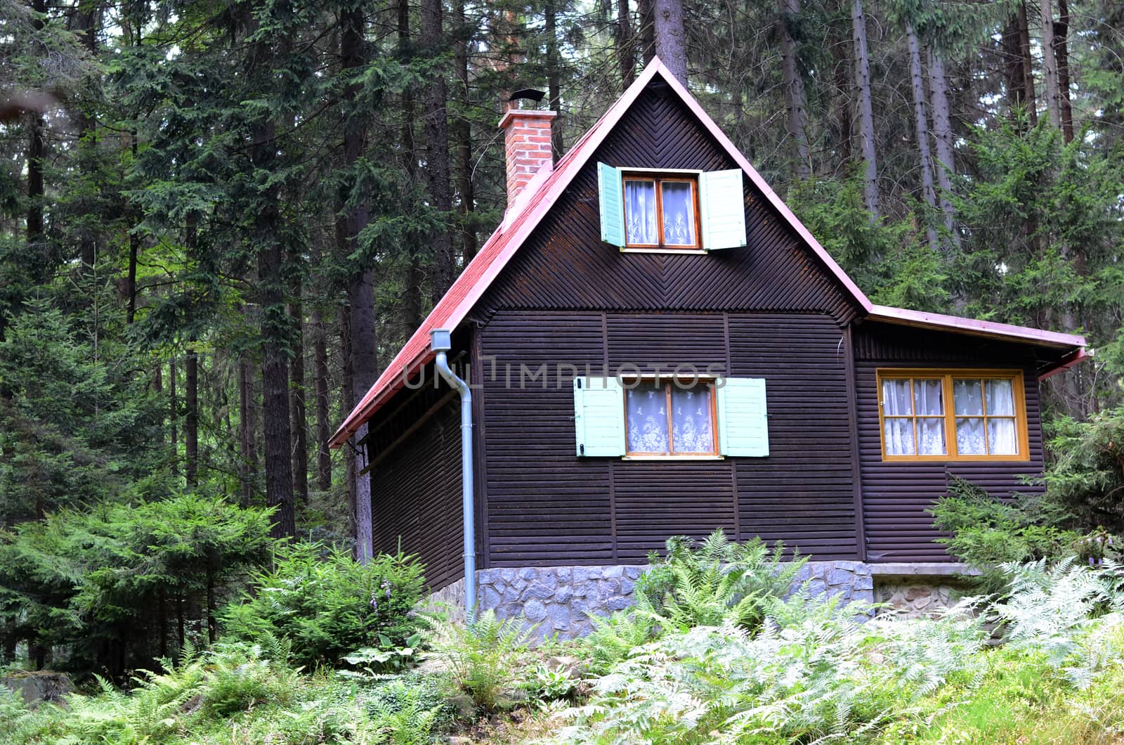 cabin in the wood