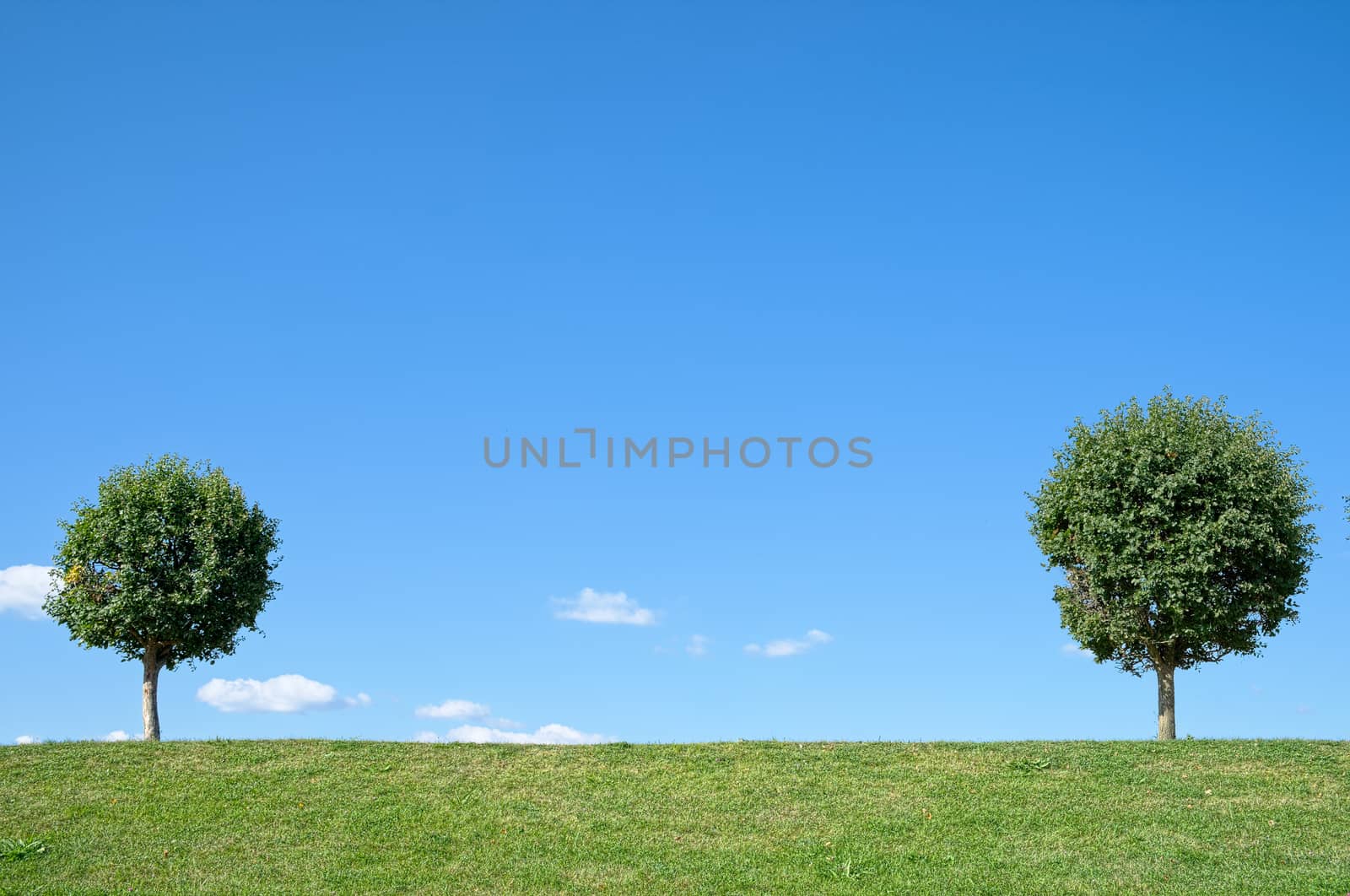 clear landscape with clouds and green field