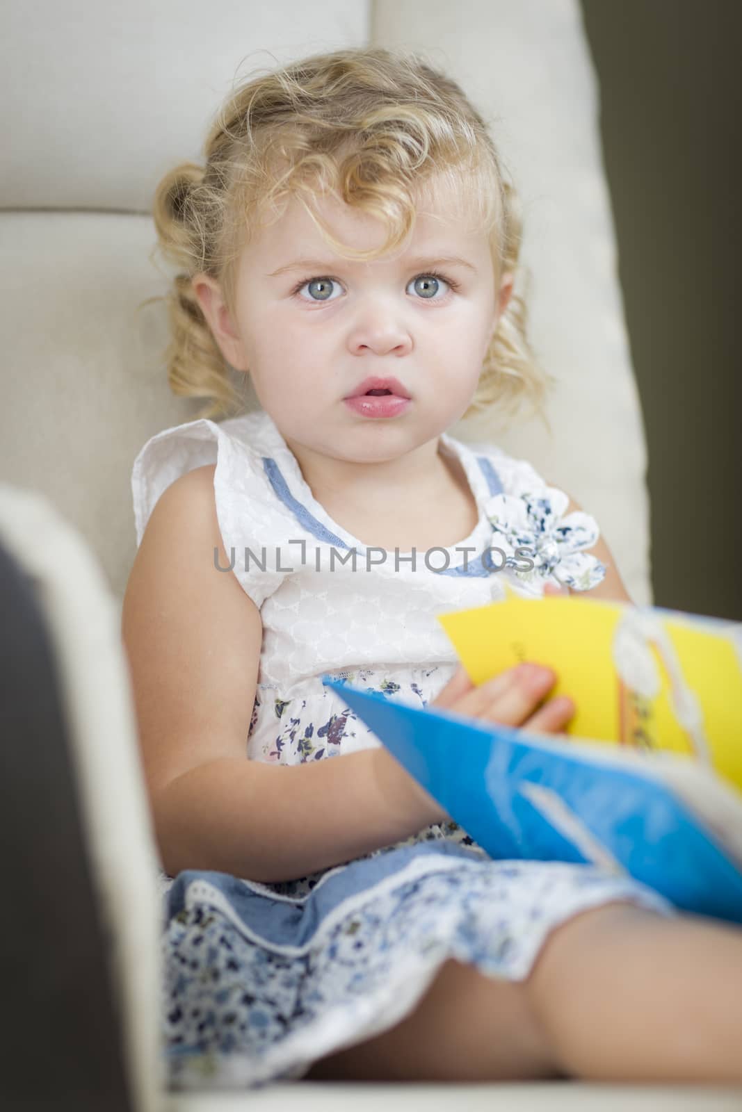 Adorable Blonde Haired Blue Eyed Little Girl Reading Her Book in the Chair.