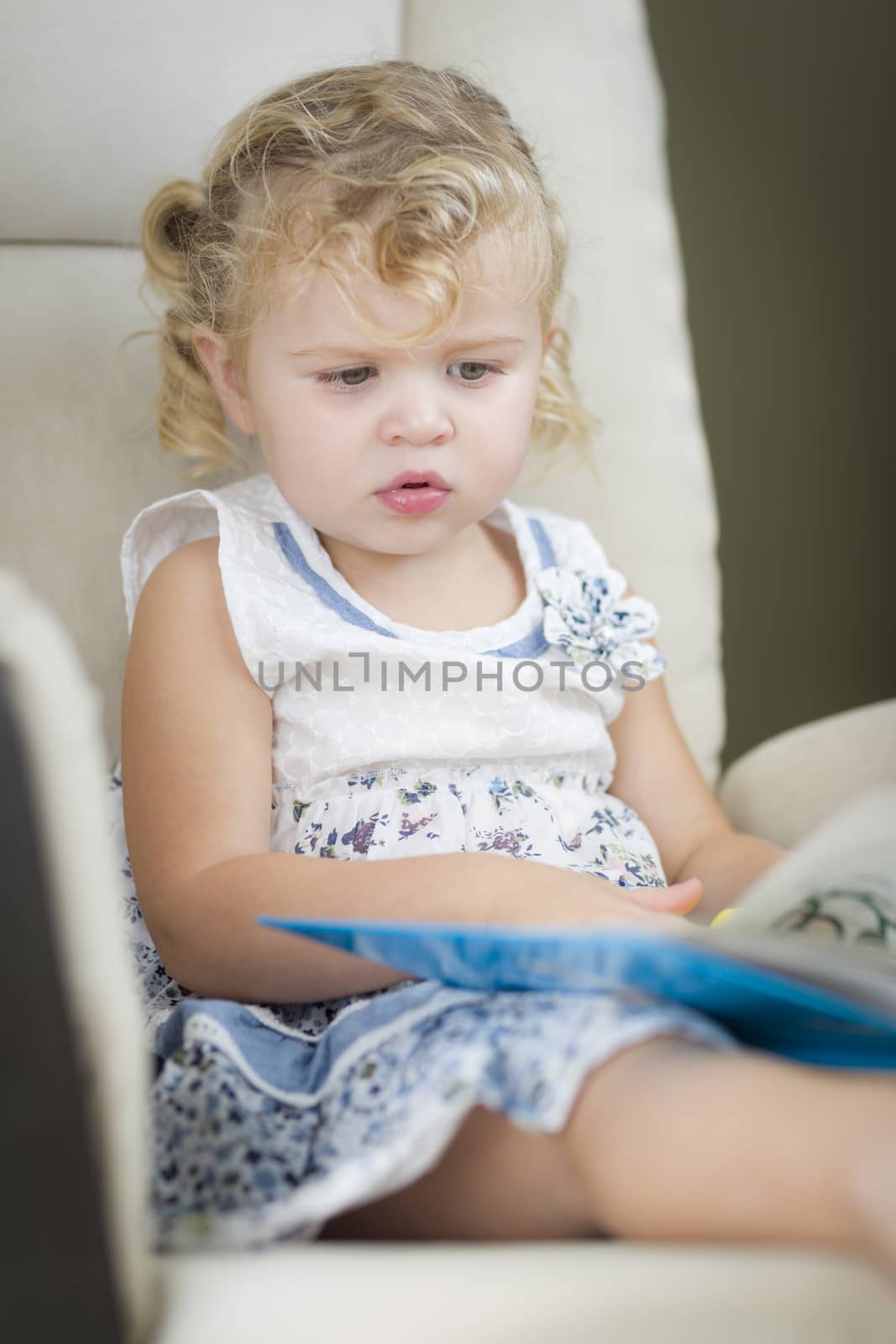 Adorable Blonde Haired Blue Eyed Little Girl Reading Her Book in the Chair.