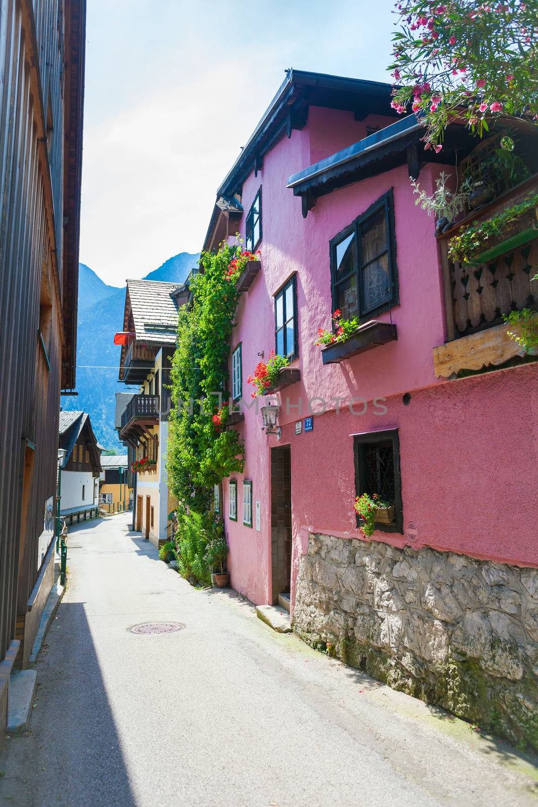 Hallstatt, Austria - August 7, 2013: Typical guest house covered with flower plants in Hallstatt village, Austria
