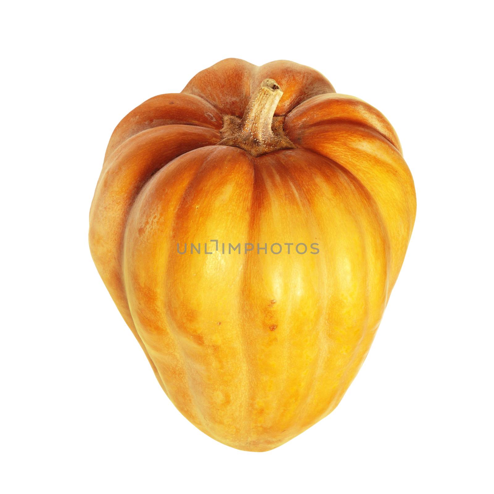 Fresh orange pumpkin isolated on white background with path