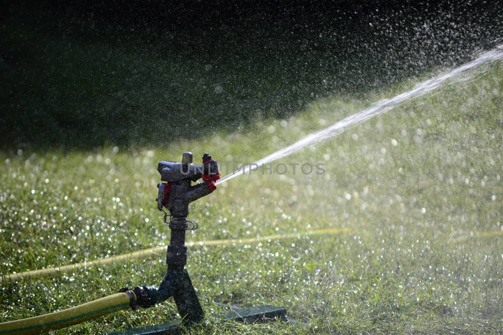 Automatic watering can in function by hibrida13