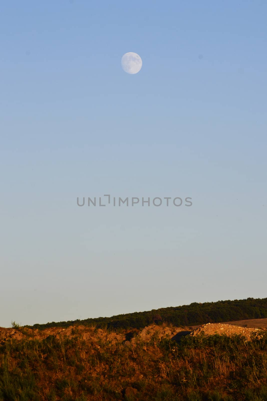 Landscape with a field under the bright sky and the moon