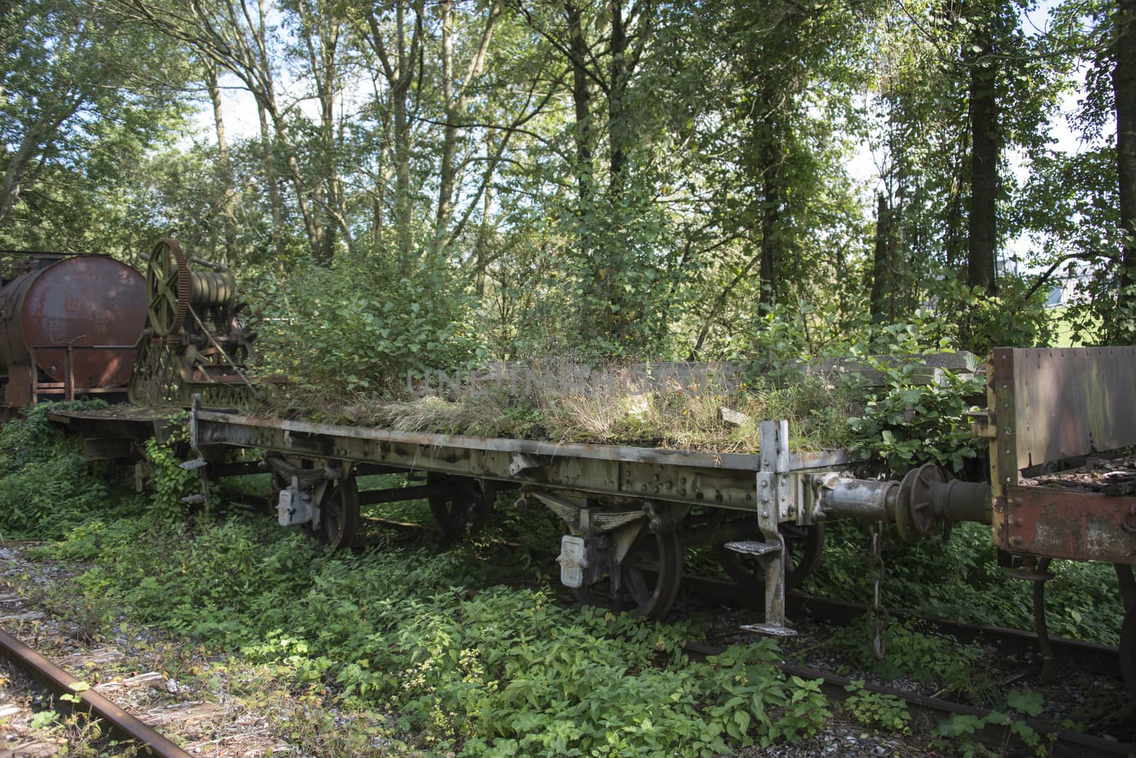 old rusted train at trainstation hombourg in belgium overgrown with plants and trees