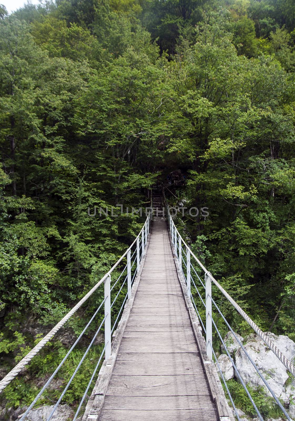  Rope bridge over river Soca, Slovenia