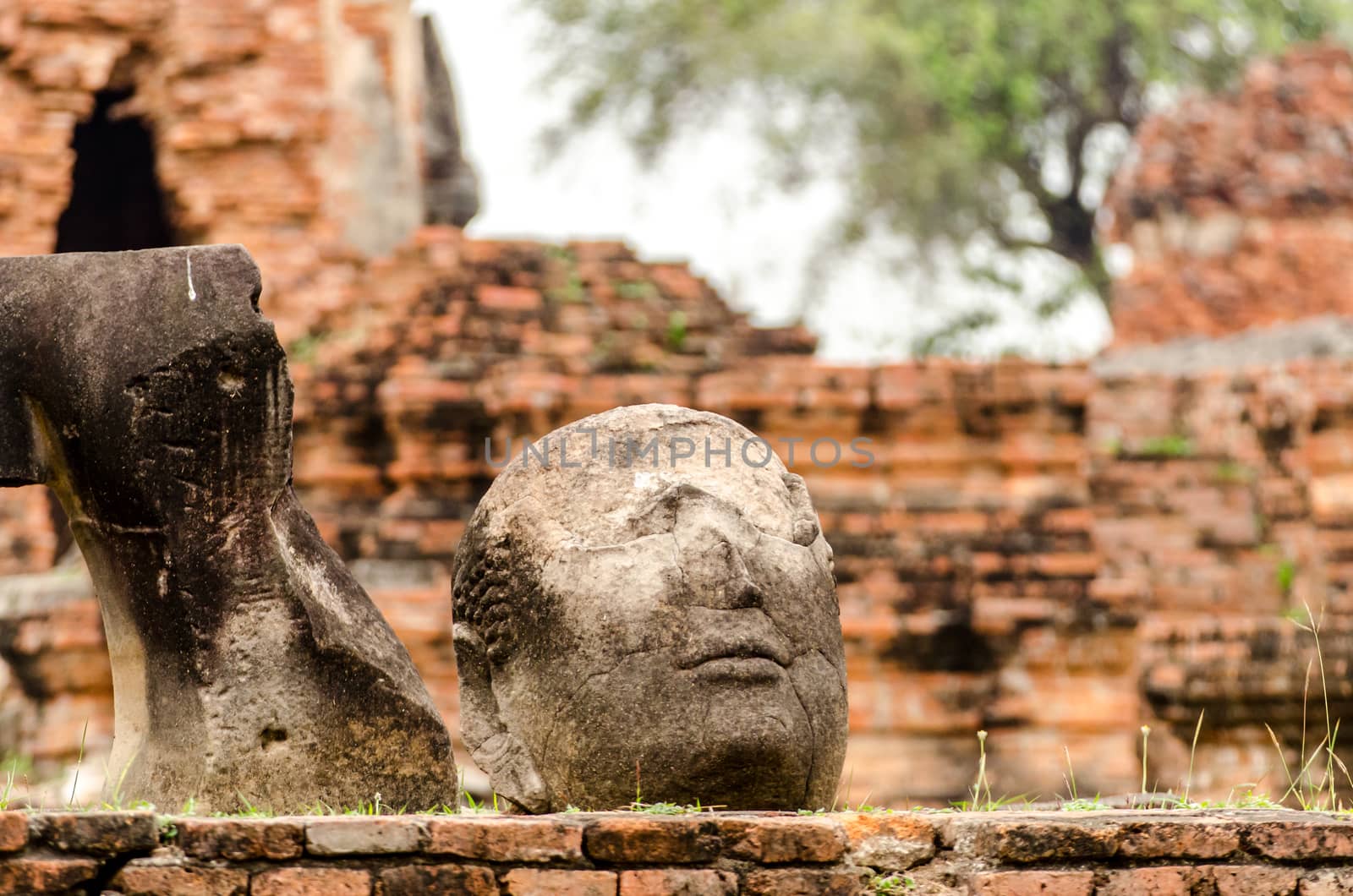 The Fracture buddha statue in Temple wat Mahathat in Ayutthaya historical park, Thailand