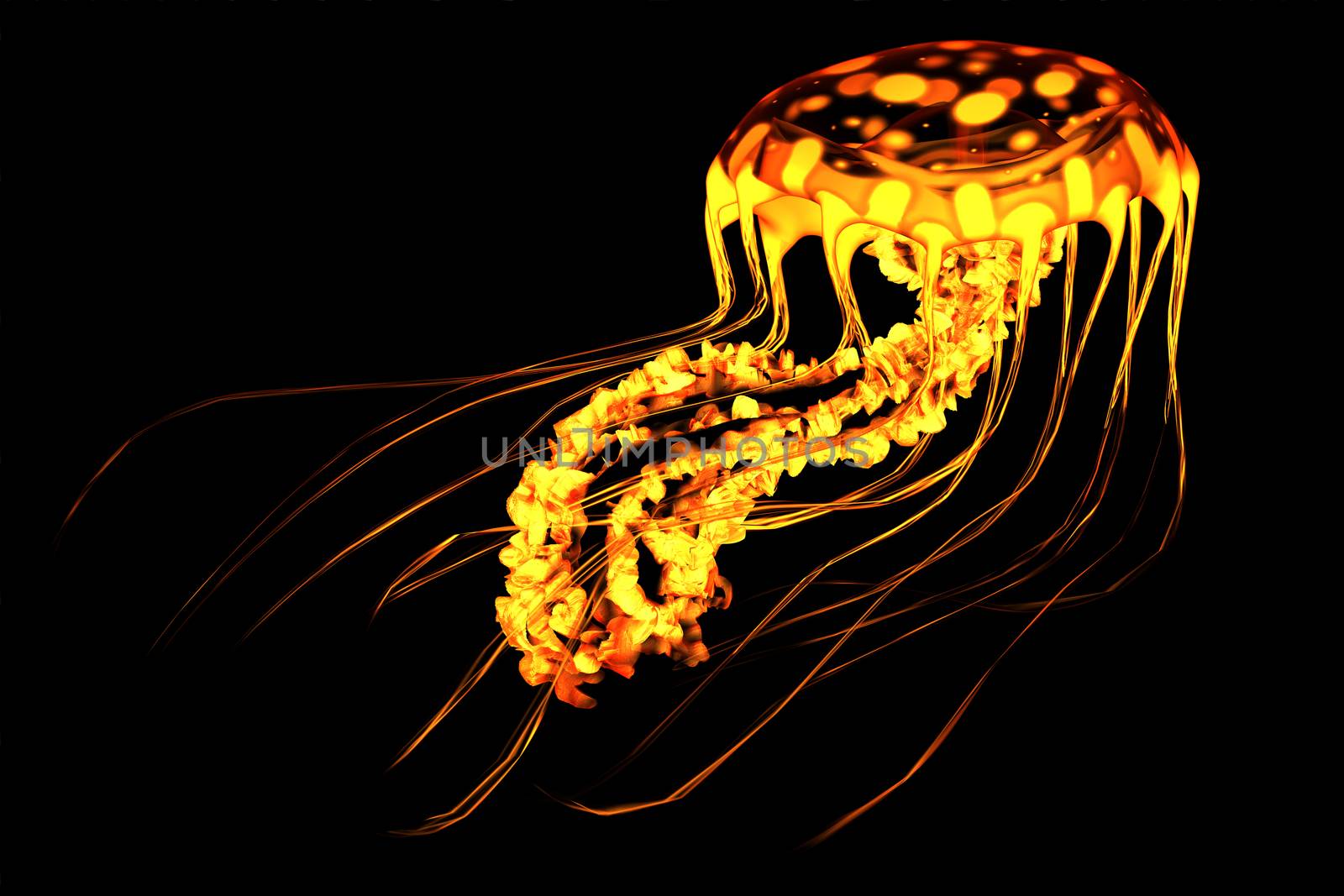 A brightly colored jellyfish swims in deep ocean waters with bioluminescence.